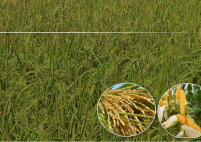 Screenshot_1