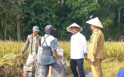 Jelang Panen Raya Bersama Jokowi, Petani di Kebumen Curhat Harga Gabah Turun ke Menteri Pertanian