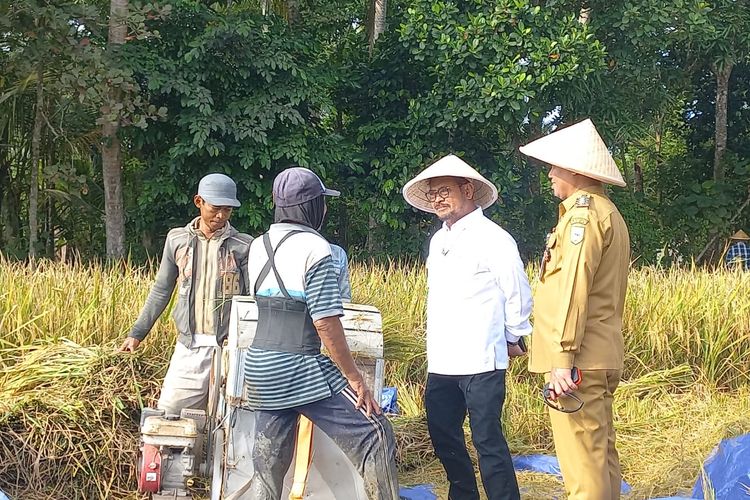 Jelang Panen Raya Bersama Jokowi, Petani di Kebumen Curhat Harga Gabah Turun ke Menteri Pertanian