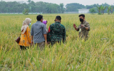 Antipasi Krisis Global, Sulsel Gelar Pasar Murah dan Genjot Pangan Lokal Berbasis Sagu