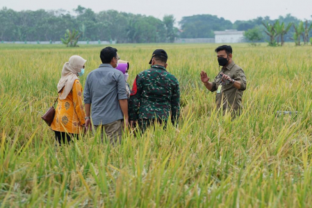 Antipasi Krisis Global, Sulsel Gelar Pasar Murah dan Genjot Pangan Lokal Berbasis Sagu